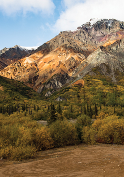 Technicolor Mountain